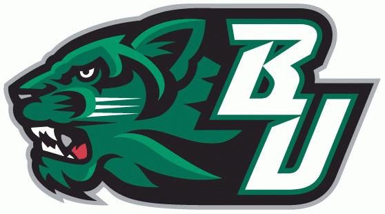 Binghamton Bearcats 2001-Pres Secondary Logo v3 diy DTF decal sticker